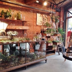 Girls clothing stores. Apothecary clothing store