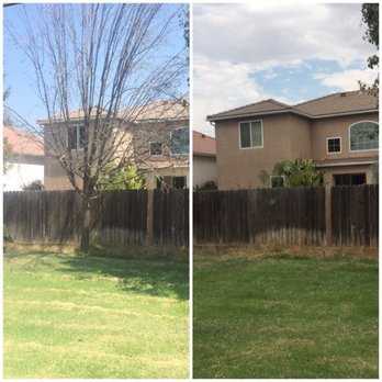 Clovis Tree Service 34 Photos 11 Reviews Services Photo Of Clovis Tree Service Ca United States Before And After