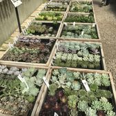 Half Moon Bay Nursery 275 Photos 170 Reviews Nurseries Photo Of Half Moon Bay Nursery Ca United States