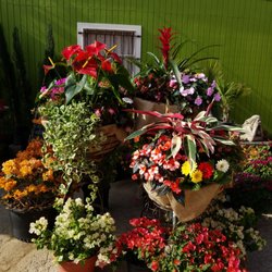 The Green Gate Nurseries Gardening 990 S Highway 123 Byp Photo Of The Green Gate Seguin Tx United States