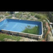 parnell pool