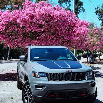 Santa Monica Chrysler Dodge Jeep Ram 364 Photos 289 Reviews Photo Of Santa Monica Chrysler Dodge Jeep Ram Ca United States