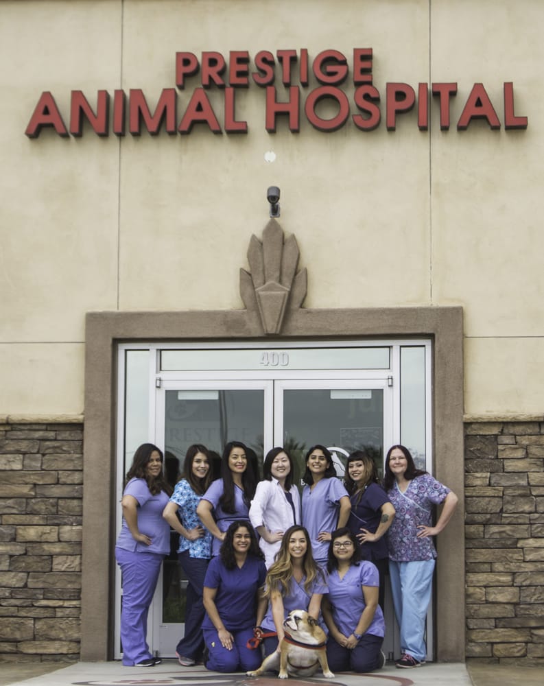 Prestige Animal Hospital 96 Photos & 95 Reviews Veterinarians