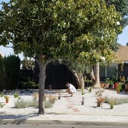 Sunshine Growers Nursery 84 Photos 73 Reviews Nurseries Photo Of Sunshine Growers Nursery Ontario Ca United States Gravel And Drought