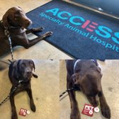 Access Woodland Hills >> Access Specialty Animal Hospital 105 Photos 477 Reviews Access Woodland Hills >> Access Specialty Animal Hospital 105 Photos 477 Reviews