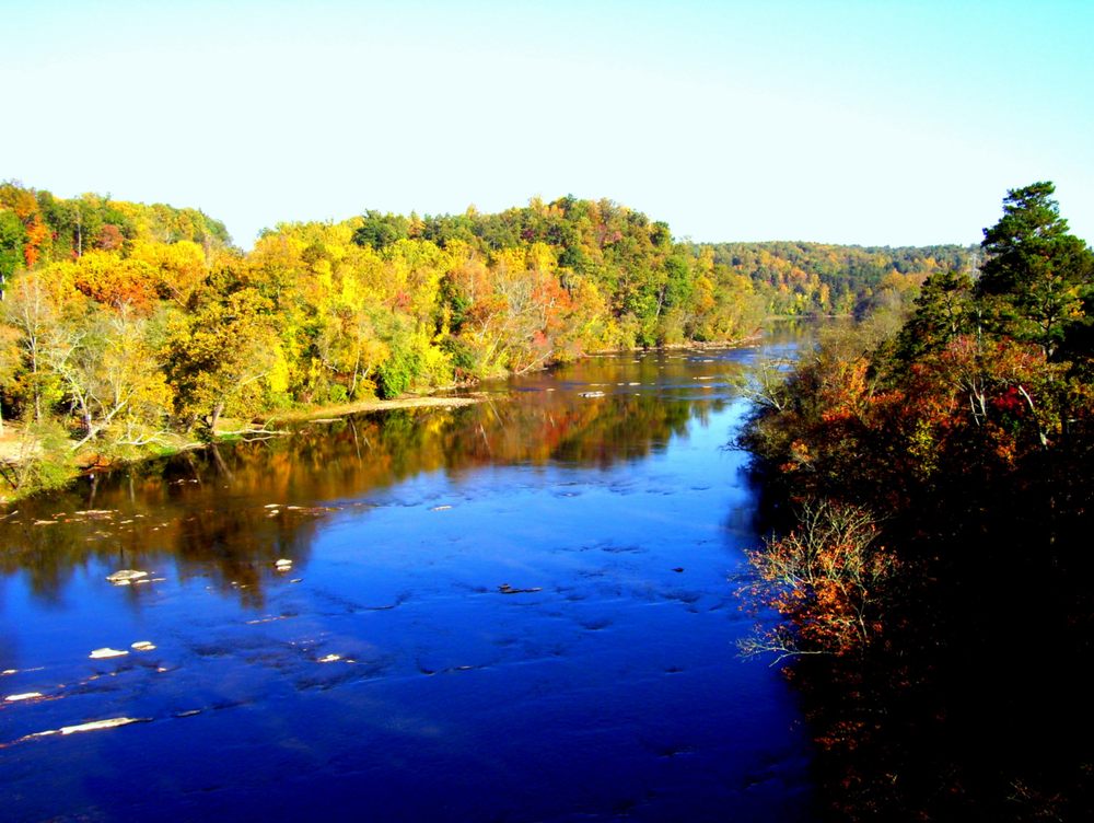 Jackson J D Associates