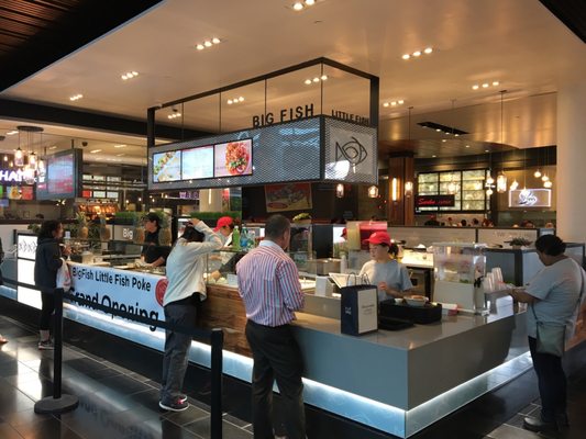 Big Fish Little Fish