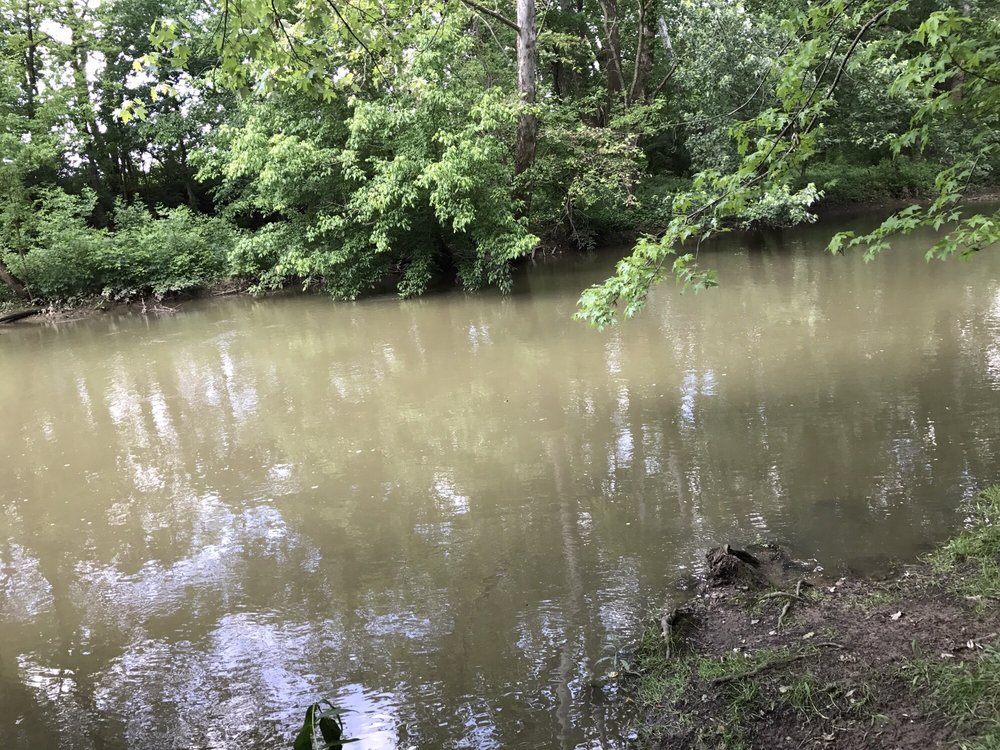 Alum Creek Greenway Trail 12 Photos Hiking 221 W Main St