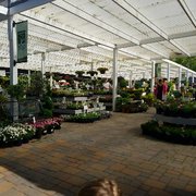 West End Nursery 71 Photos 46 Reviews Nurseries Gardening Photo Of West End Nursery San Rafael Ca United States Plant Ping