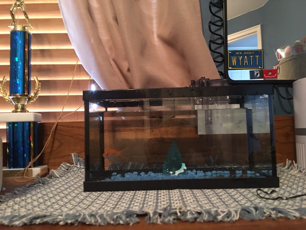 Fish Hut Of New Jersey 26 Photos & 44 Reviews Pet Stores 114 US