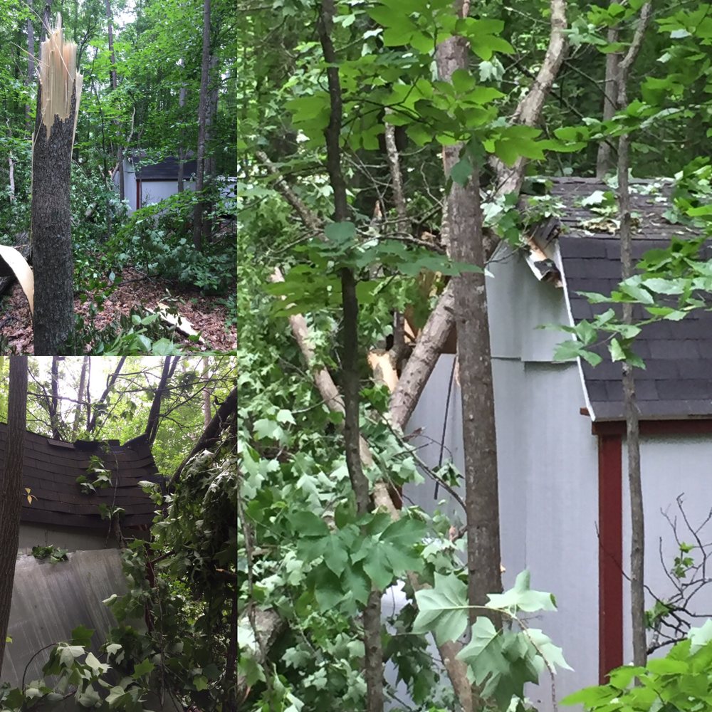 A & G Tree Specialists