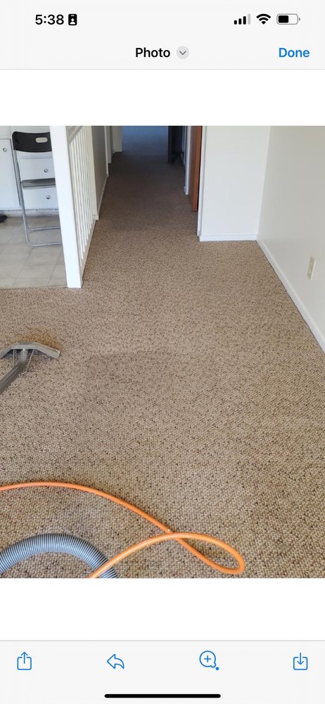 Allo Boris Carpet Cleaning