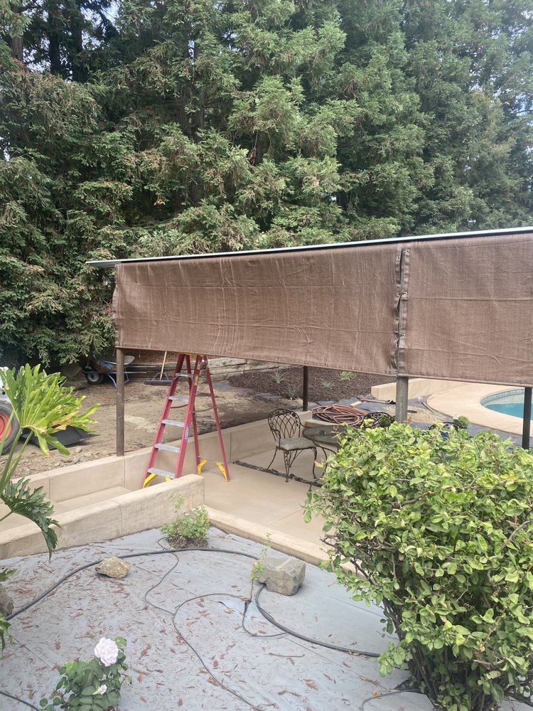 Pacific Canvas