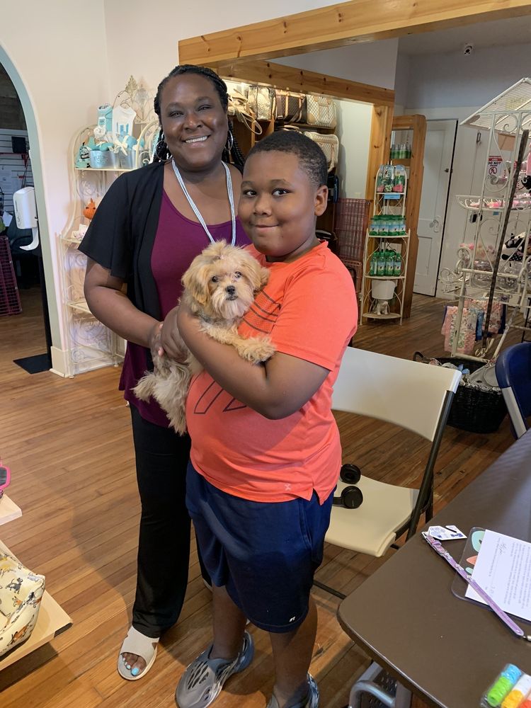 Teacup and Toy Pets Boutique