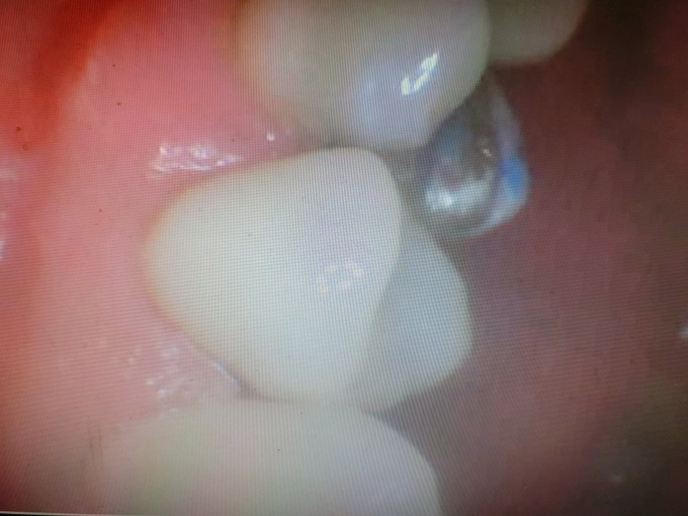 image of business Lee Family Dental