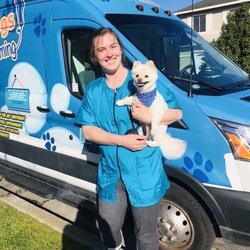 for the love of dogs mobile grooming