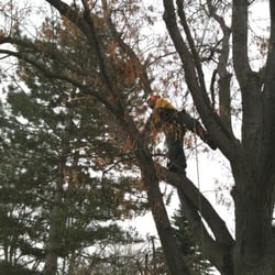 parker tree service nampa id photo of parker tree service longmont co united states 10 reviews services 14438 county parker tree service nampa id photo of parker tree service longmont co united states 10 reviews services 14438 county
