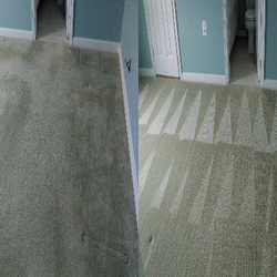 Carpet Cleaning Fairfax Va Steam Clean Services For Homes And Northern Va Best Carpet Cleaning Logo
