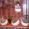 Cactus Jungle - 192 Photos & 145 Reviews - Nurseries & Gardening - 1509