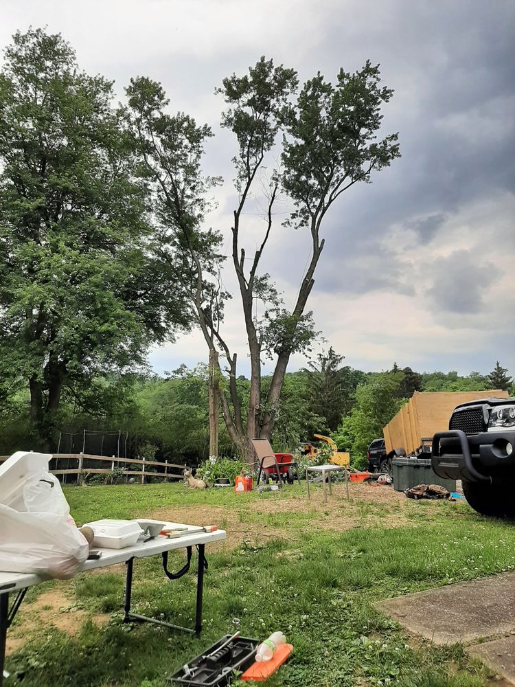 Northmen Excavating & Tree Service