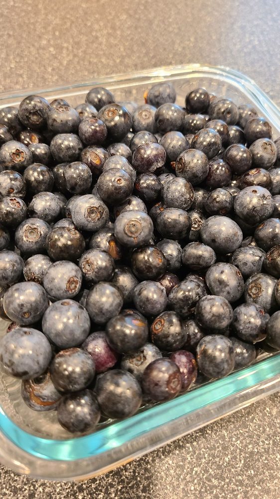 Kent's Blueberry Farm