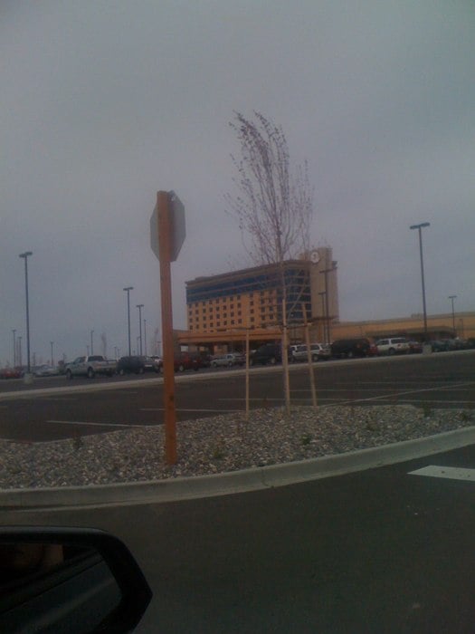 Wildhorse resort casino jobs
