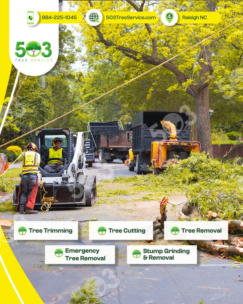 503 Tree Service