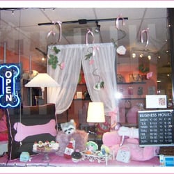 blaze n skyy pet boutique wellness center closed pet blaze n skyy pet boutique wellness center closed pet