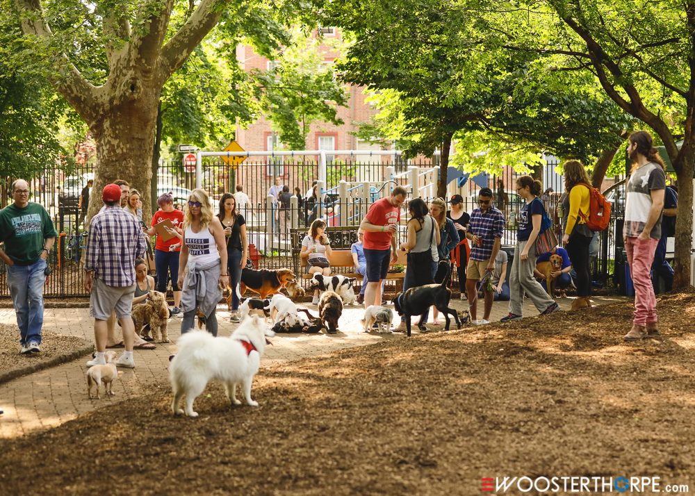 Seger Dog Park 21 Photos & 48 Reviews Dog Parks 1001 Rodman St