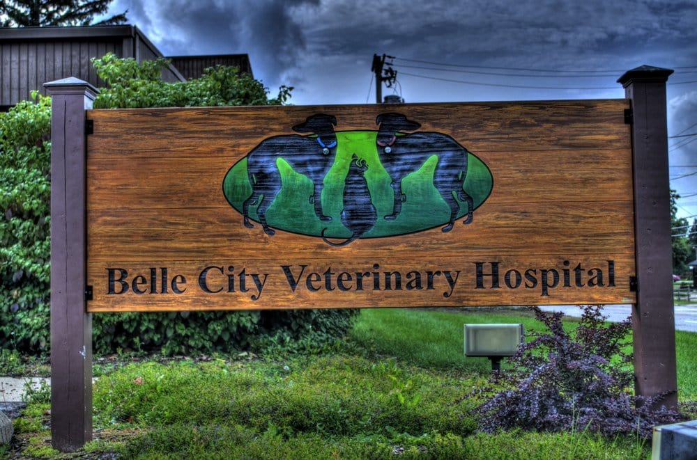 Belle City Veterinary Hospital Sc Veterinarians 4701 Spring St