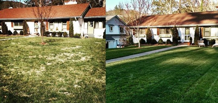 Clean Air Lawn Care