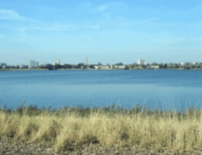 Visstek Galgenweel