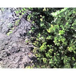 Cold Stream Farm Nurseries Gardening 8585 N Stephens Rd Free Photo Of Cold Stream Farm Free Soil Mi United States