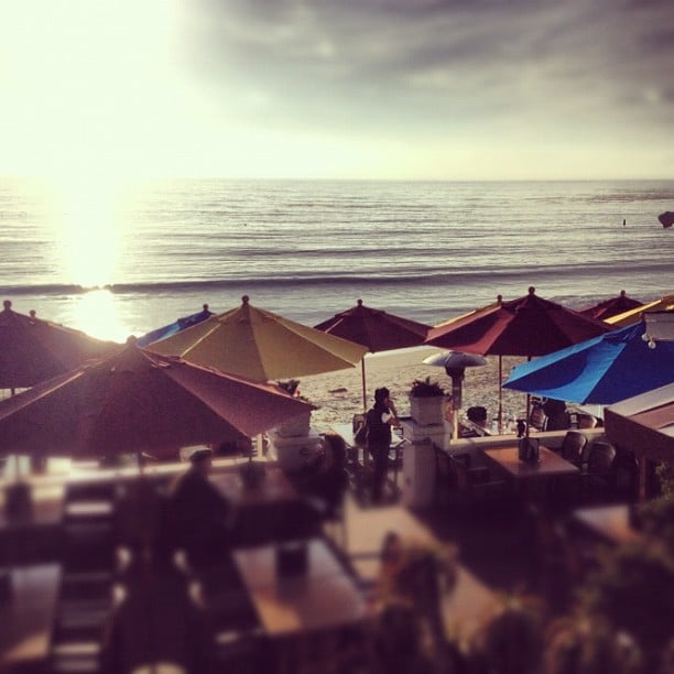 Oceanview Bar Grill Laguna Beach Ca Oceanview Bar Grill Laguna Beach Ca