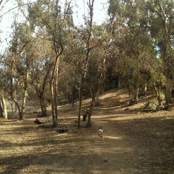 Gum Grove Park 34 Photos 18 Reviews Hiking Crestview Ave Photo Of Gum Grove Park Seal Beach Ca United States One