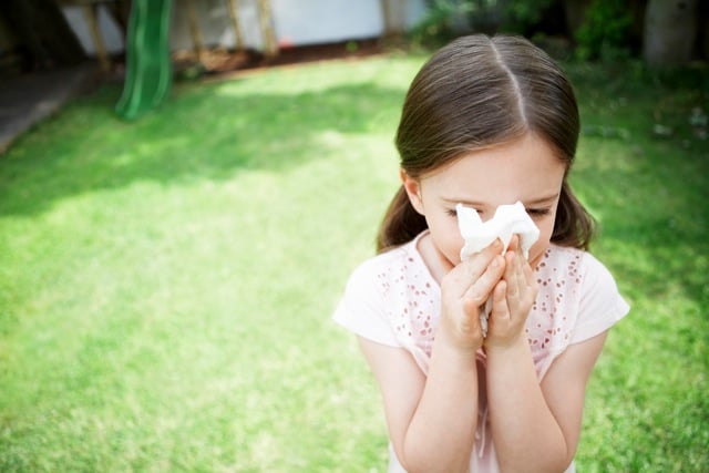 image of business Atlanta Allergy & Asthma