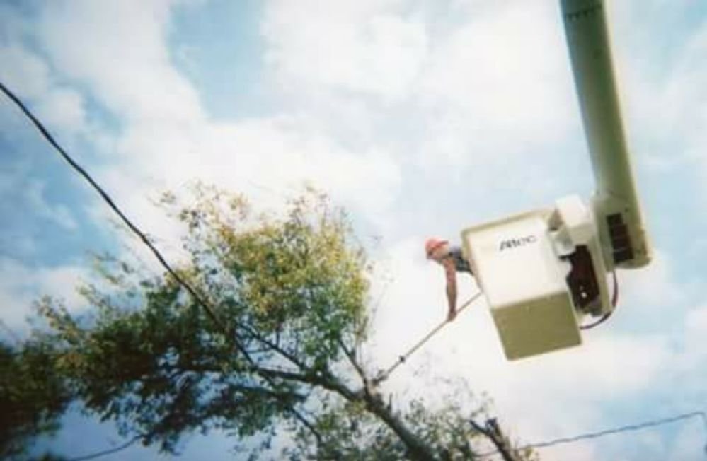 Hellock Tree Service