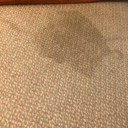 Super 8 Erwin Hotels 1101 North Buffalo Street Tn Photo Of Super 8 Erwin Tn United States Stains Everywhere