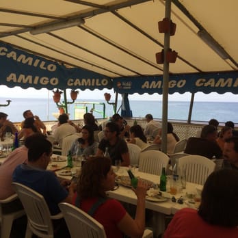 amigos de las palmas