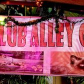 ali cat strip club Ali cat strip club