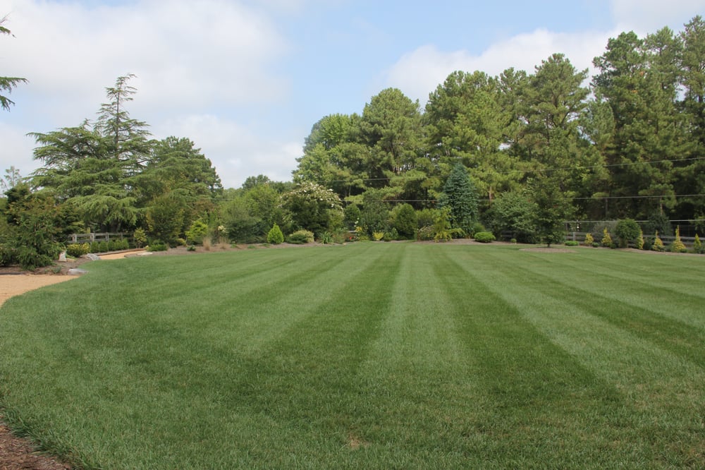 Specialized Landscape Services