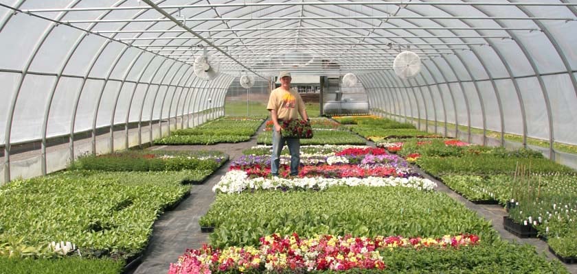Andrews Greenhouse