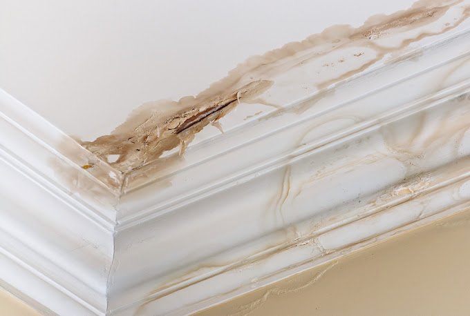 Mythical Water Damage Cleaning