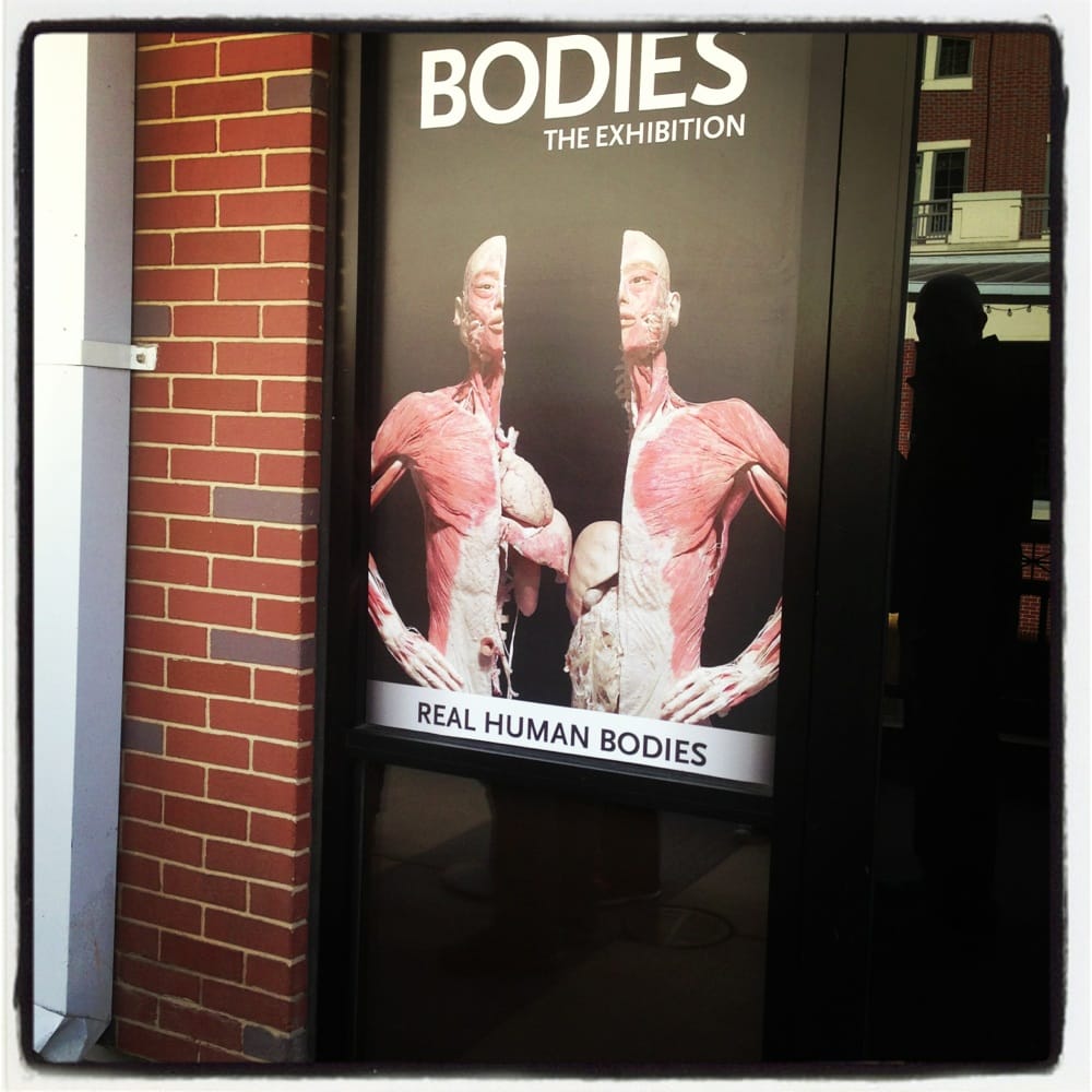 BODIES...The Exhibition Last Updated June 2017 11 Photos & 61