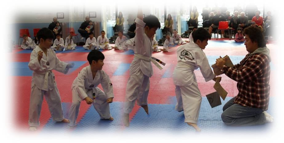 K White Tigers Martial Arts