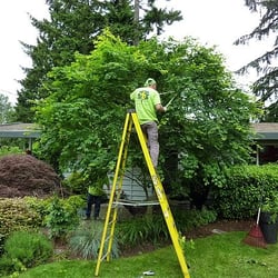 Tree Service Somerville  Photo of M&A Tree Service - Somerville, NJ, United States
