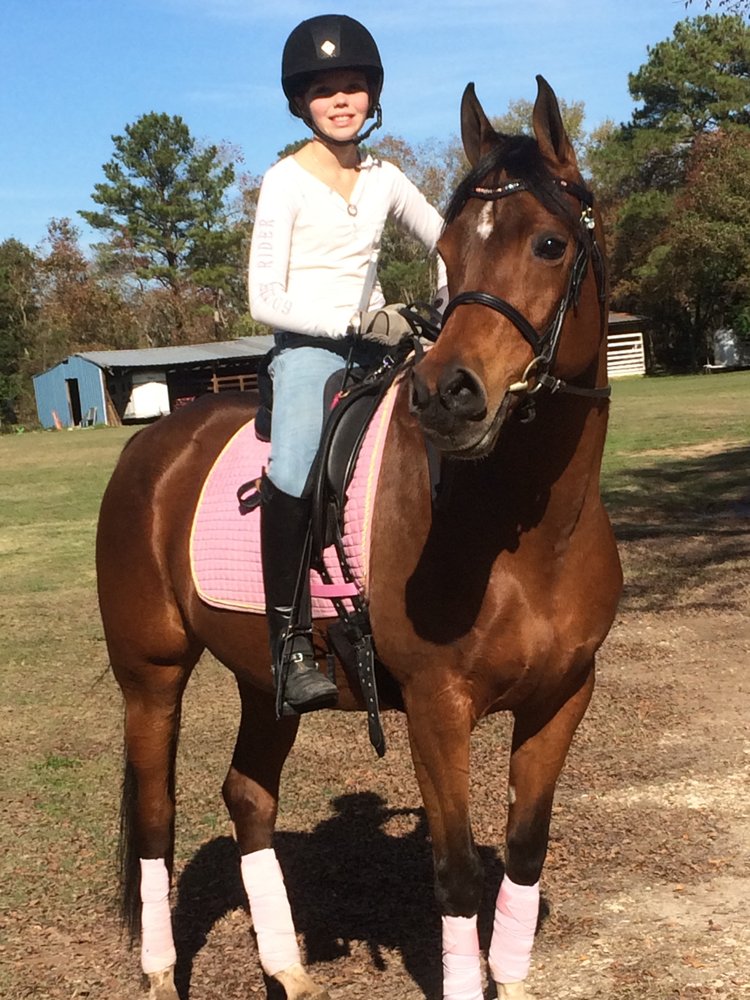 In The Irons Equestrian Center Horse Boarding 25785 Boerne Stage Rd