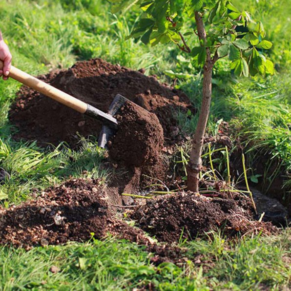 Valdez Landscaping Services