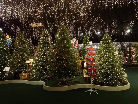 roberts christmas wonderland 2951 gulf to bay blvd clearwater fl general merchandise retail mapquest - Roberts Christmas Wonderland roberts christmas wonderland 2951 gulf to bay blvd clearwater fl general merchandise retail mapquest - Roberts Christmas Wonderland