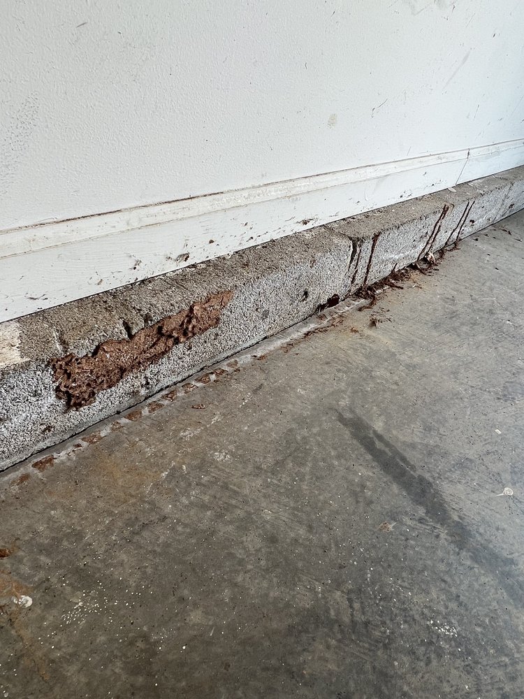 Pyramid Pest Control